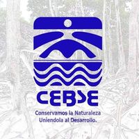 CEBSE logo