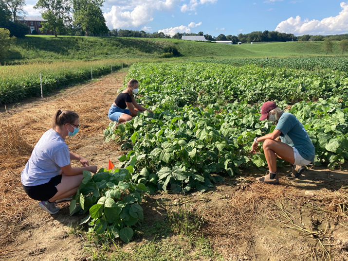 Welcoming our 2021 Summer Interns