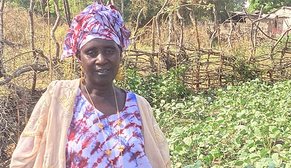 Feeding Schoolchildren in Senegal Through Increased Mung Bean Production